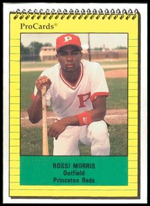 3528 Rossi Morris